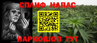 прущие грибы Лесосибирск